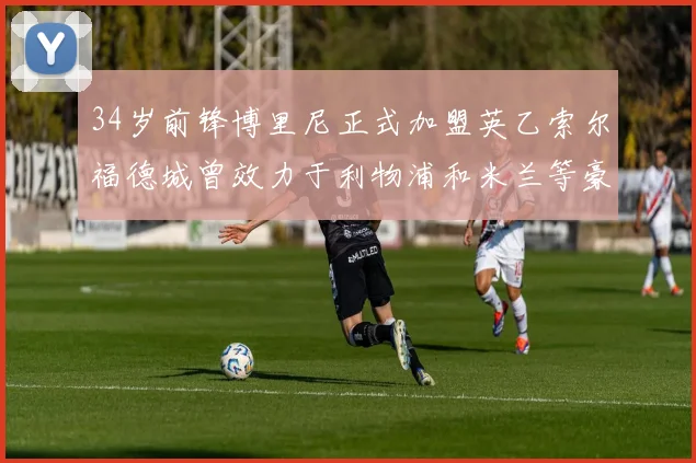 34岁前锋博里尼正式加盟英乙索尔福德城曾效力于利物浦和米兰等豪门