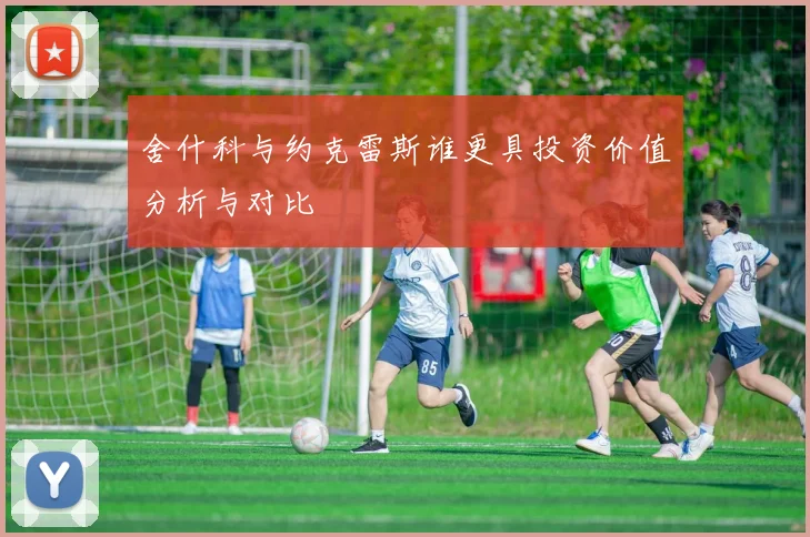 舍什科与约克雷斯谁更具投资价值分析与对比