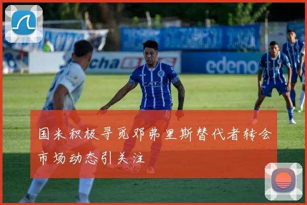 国米积极寻觅邓弗里斯替代者转会市场动态引关注