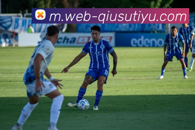 球速体育平台生态图